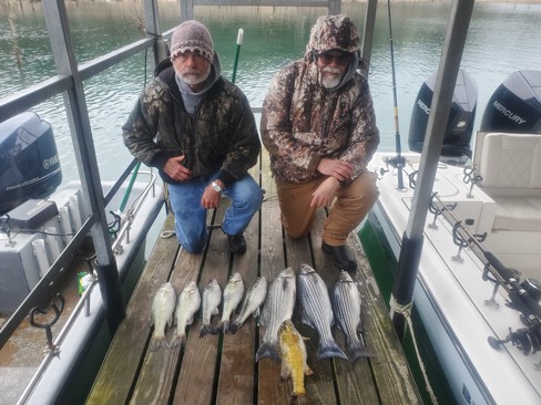 Nice Striped Bass