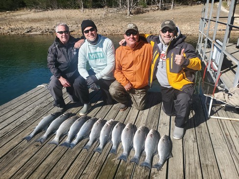 Nice Striped Bass