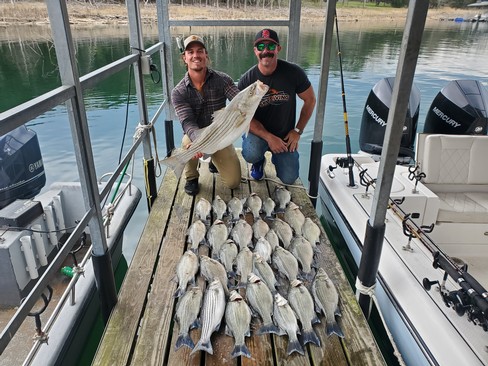 Nice Striped Bass
