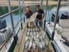 (04/09/2024) - Nice Striped Bass