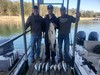 (04/12/2024) - Nice Striped Bass
