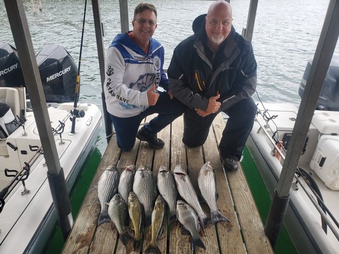 Nice Striped Bass
