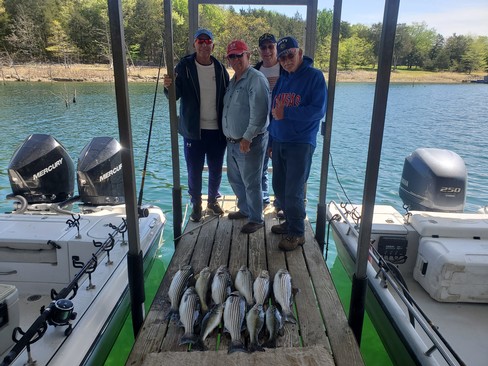 Nice Striped Bass