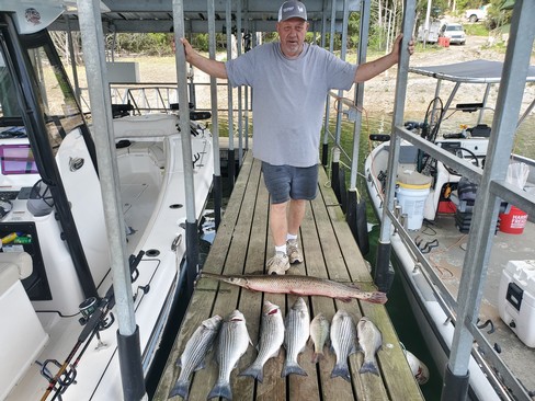 Nice Striped Bass