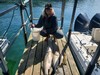 (04/19/2024) - Nice Striped Bass