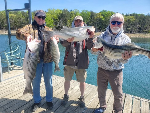 Nice Striped Bass
