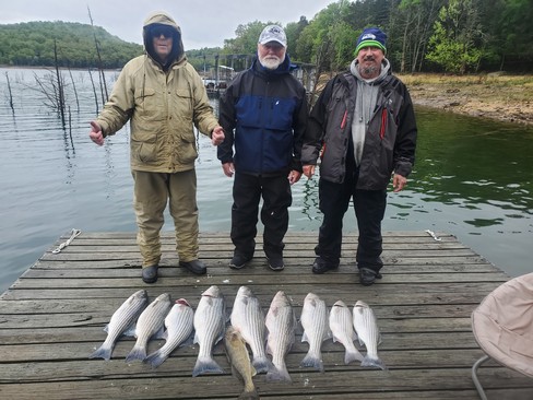 Nice Striped Bass