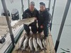 (04/26/2024) - Nice Striped Bass