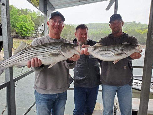 Nice Striped Bass