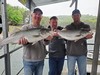 (04/26/2024) - Nice Striped Bass