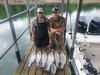 (04/27/2024) - Nice Striped Bass