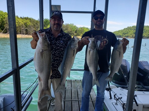 Nice Striped Bass