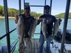 (04/30/2024) - Nice Striped Bass
