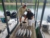 (05/02/2024) - Nice Striped Bass
