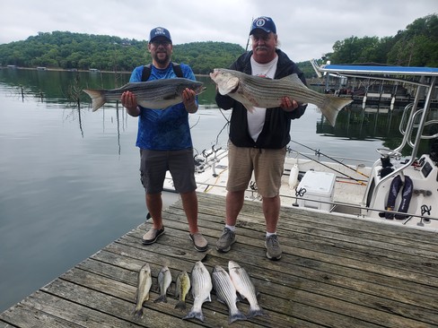 Nice Striped Bass