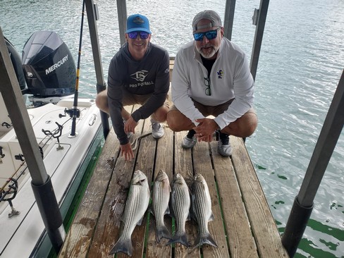 Nice Striped Bass