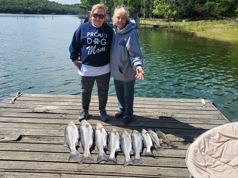 Nice Striped Bass
