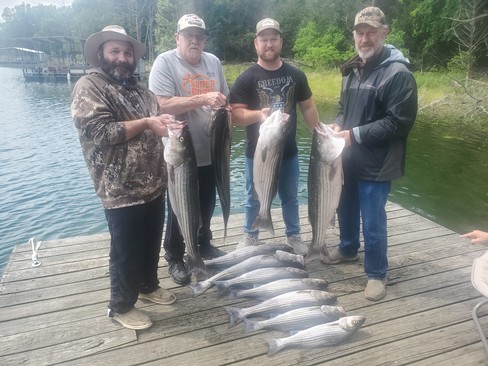 Nice Striped Bass