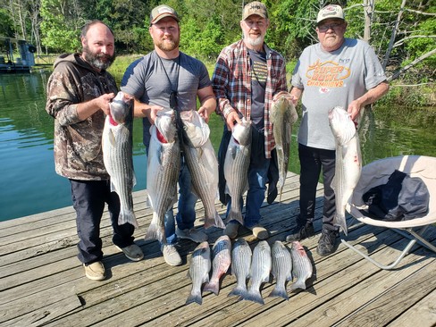 Nice Striped Bass