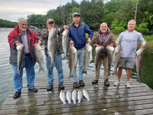 Nice Striped Bass