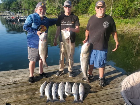Nice Striped Bass
