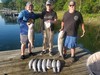 (05/21/2024) - Nice Striped Bass