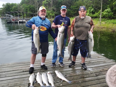 Nice Striped Bass