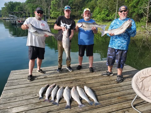 Nice Striped Bass