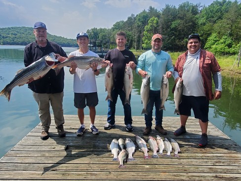 Nice Striped Bass
