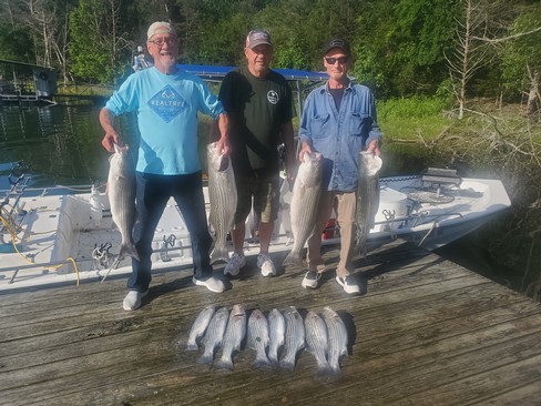 Nice Striped Bass
