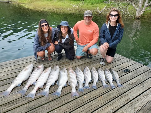 Nice Striped Bass