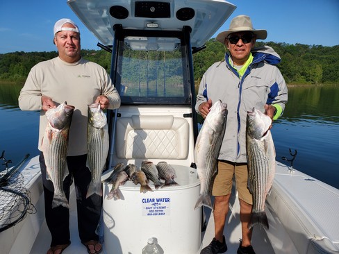 Nice Striped Bass
