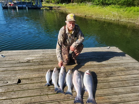 Nice Striped Bass