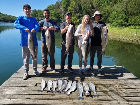 Nice Striped Bass