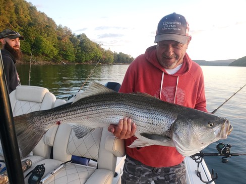 Nice Striped Bass