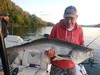 (06/07/2024) - Nice Striped Bass