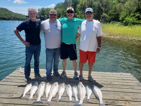 Nice Striped Bass