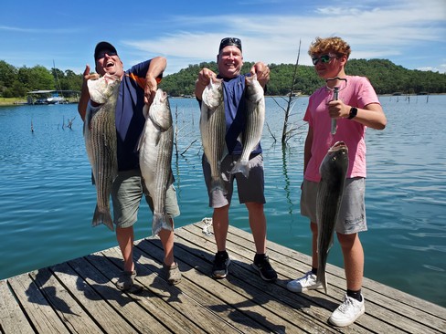 Nice Striped Bass