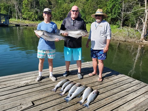 Nice Striped Bass