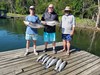 (06/13/2024) - Nice Striped Bass