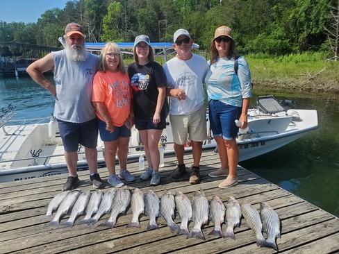 Nice Striped Bass