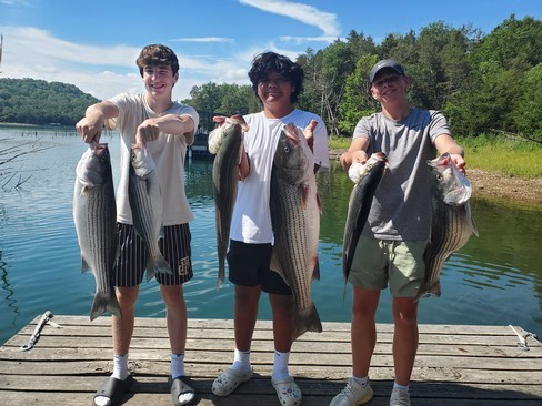 Nice Striped Bass