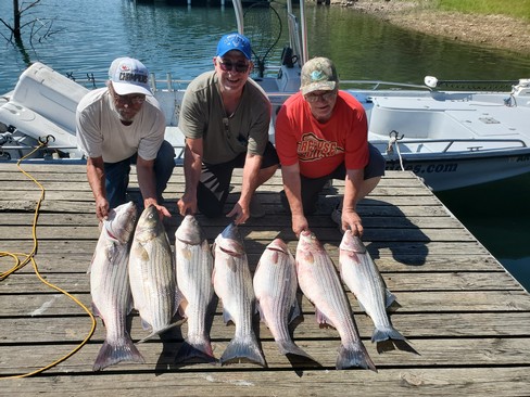 Nice Striped Bass