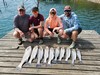 (06/28/2024) - Nice Striped Bass