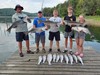 (07/03/2024) - Nice Striped Bass
