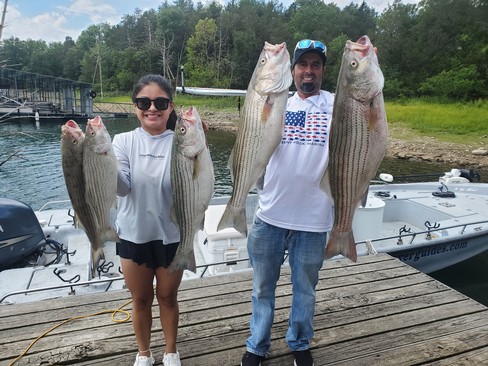 Nice Striped Bass