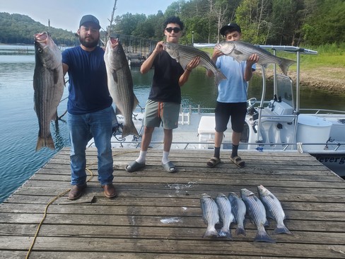 Nice Striped Bass