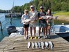 (07/14/2024) - Nice Striped Bass