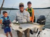 (07/20/2024) - Nice Striped Bass