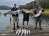 (07/21/2024) - Nice Striped Bass